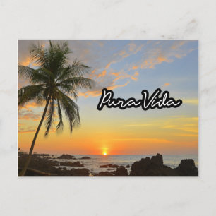 Carte Postale Costa Rica Pura Vida Beach Souvenir