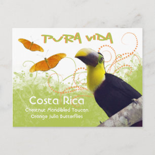 Carte postale Costa Rica Pura Vida Toucan