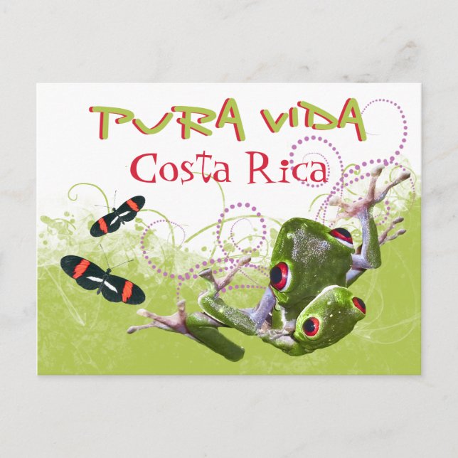 Carte postale Costa Rica Pura Vida Tree Frog (Devant)