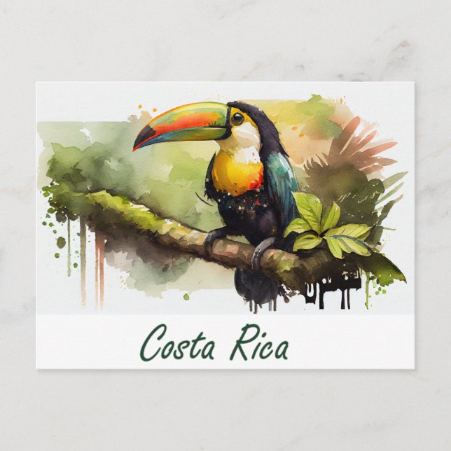 Carte Postale Costa Rica Toucan (Devant)