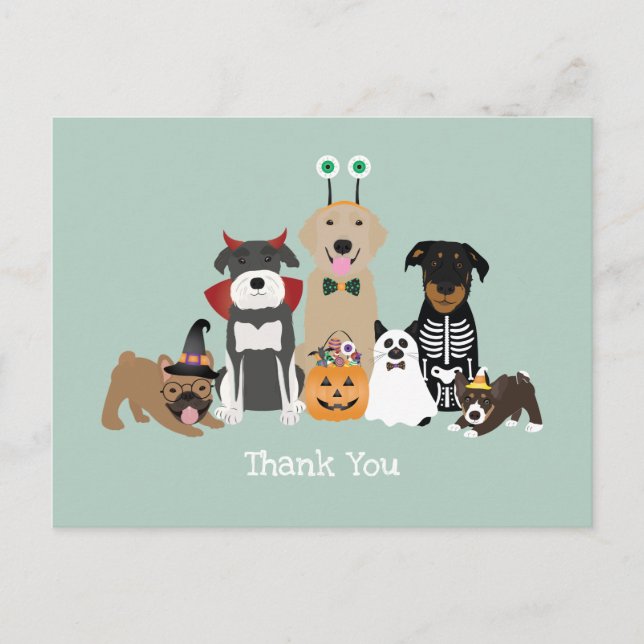 Carte Postale Costumes d'Halloween pour animaux de compagnie eff (Devant)