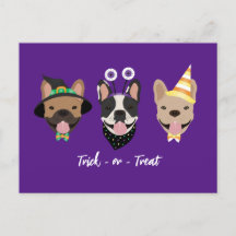 Costumes d'Halloween pour chien de taureau françai