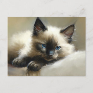 Carte Postale Cosy Companion Siamese Kitten