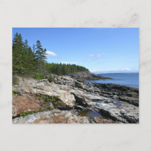 Carte Postale Côte de l'île Bar dans le parc national Acadia