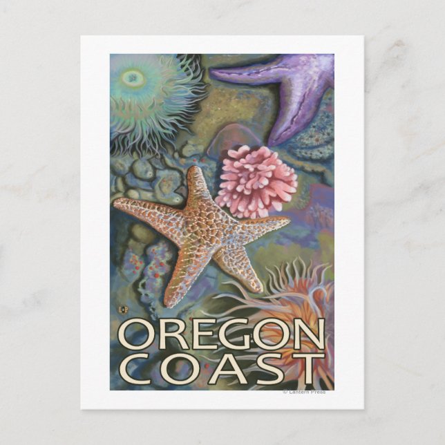 Carte Postale Côte de l'Oregon Tidepool (Devant)