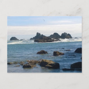 Carte Postale Côte de Seal Rock Oregon