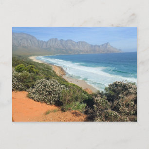Carte Postale Côte sud-africaine