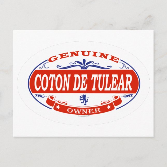 Carte Postale Coton De Tulear (Devant)
