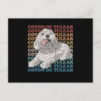 Coton de Tulear | Coton de Tulears du propriétaire