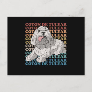 Carte Postale Coton de Tulear   Coton de Tulears du propriétaire
