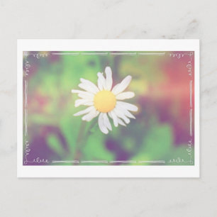 Carte postale Cottage Daisy