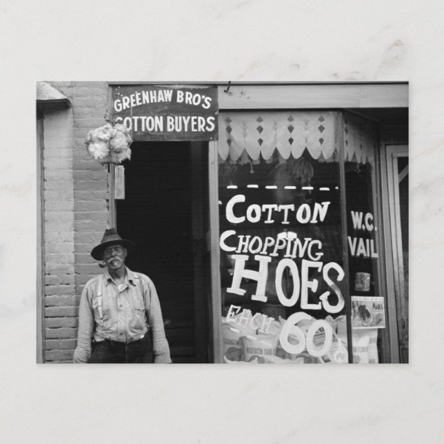 Carte Postale Cotton Chopping Hoes, années 1930 (Devant)