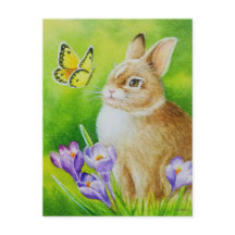 Cottontail Rabbit Papillon Crocus Aquarelle Art