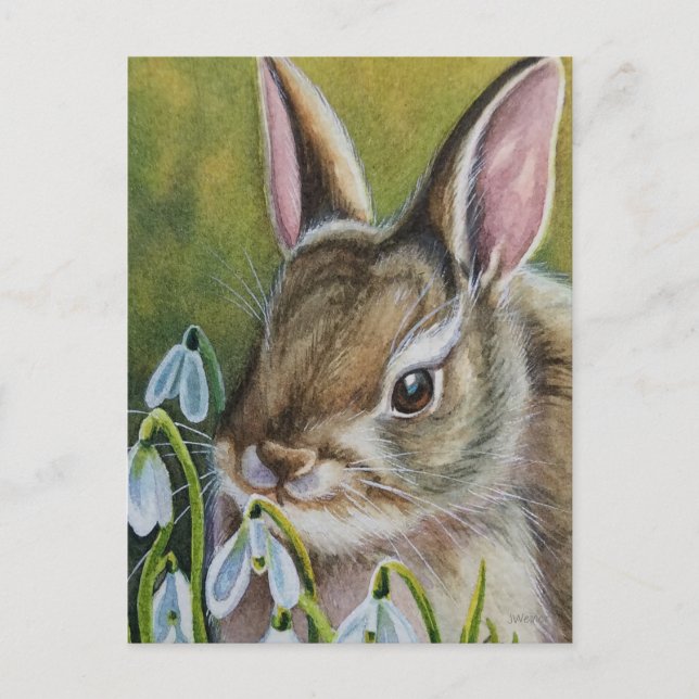 Carte Postale Cottontail Rabbit & Snowdrops Aquarelle Art (Devant)