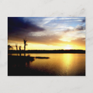 Carte Postale Couché de soleil de Floride