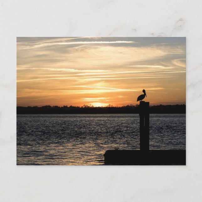 Carte Postale Couché de soleil de Floride avec Pélican (Devant)