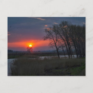 Carte postale coucher de soleil