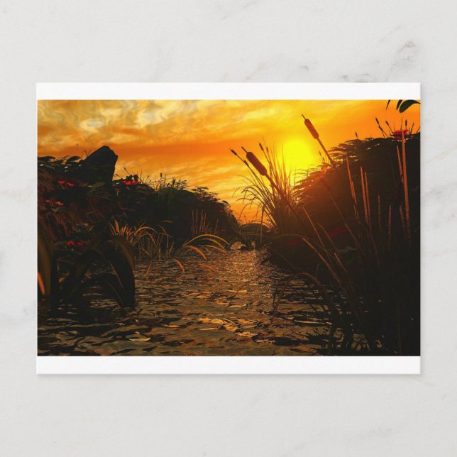 Carte Postale Coucher de soleil (Devant)