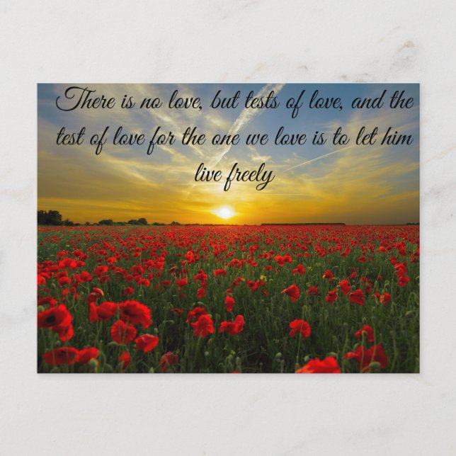 Carte Postale coucher de soleil (Devant)