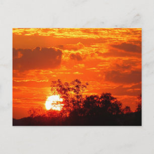 Carte Postale Coucher de soleil