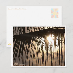 Carte Postale Coucher de soleil à Bali sur une feuille de palmie