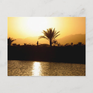 Carte Postale Coucher de soleil à Sharm el Sheikh, Egypte