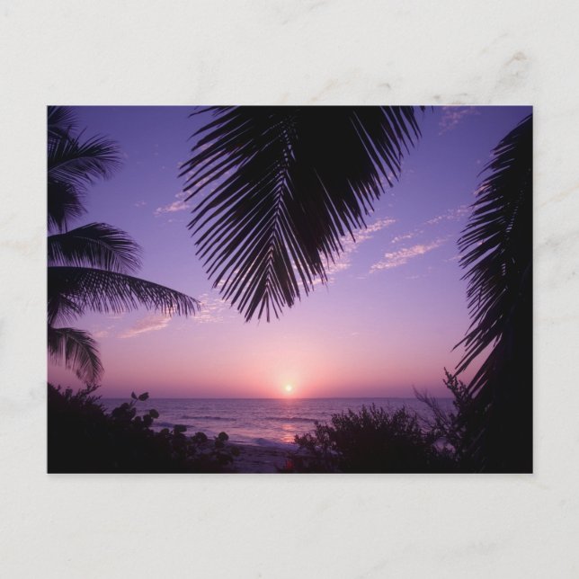 Carte Postale Coucher de soleil à West End, Cayman Brac, îles Ca (Devant)