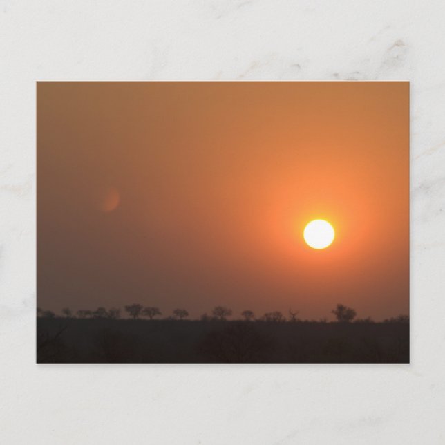 Carte Postale Coucher de soleil africain (Devant)