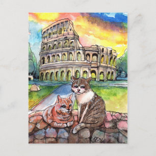 Carte Postale Coucher de soleil au Colisée