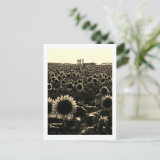Carte Postale Coucher de soleil au tournesol, Sakura City, Japon