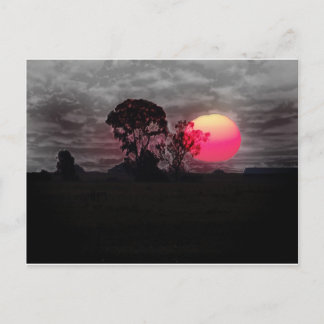 Carte Postale Coucher De Soleil Avec Arbre