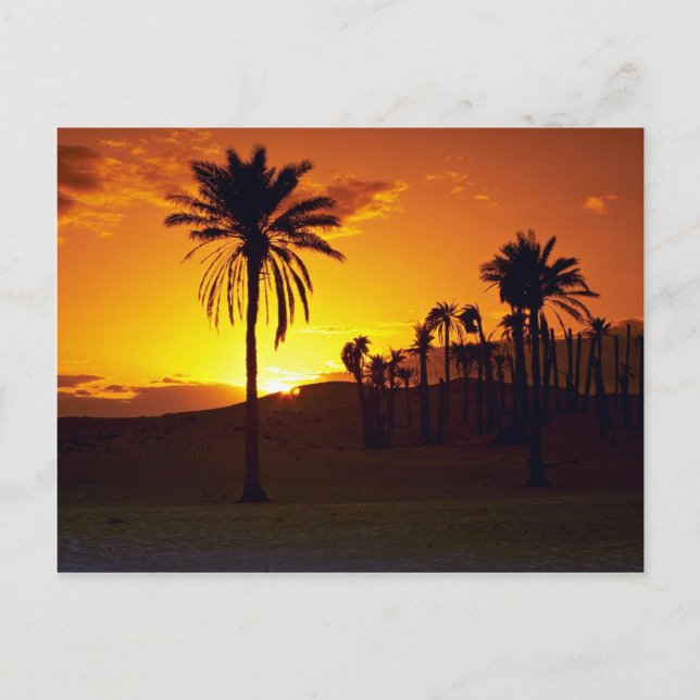 Carte Postale Coucher de soleil dans le désert, Le Sahara, Déser (Devant)