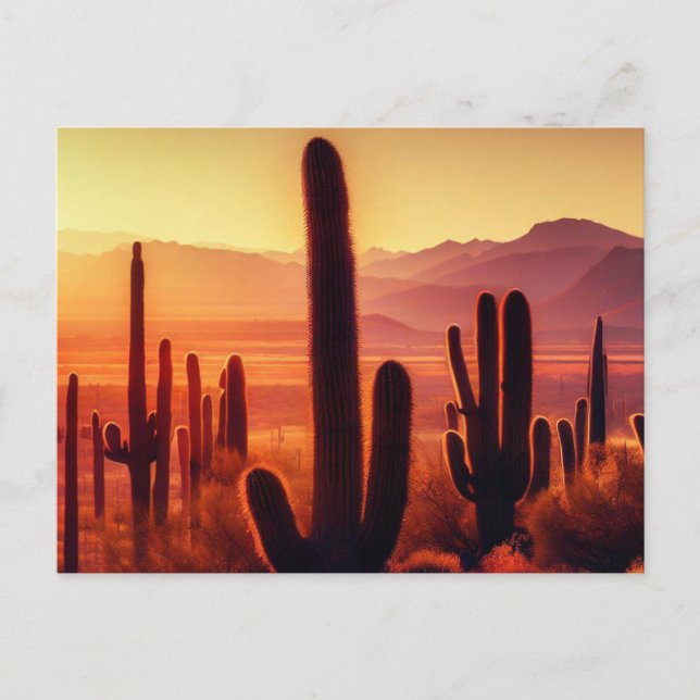 Carte Postale Coucher de soleil de cactus du désert de l'Arizona (Devant)