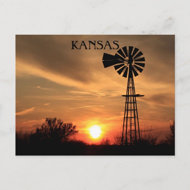 Carte Postale Coucher de soleil de Kansas avec silhouette de mou (Devant)