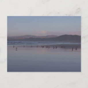 Carte Postale Coucher de soleil de la côte de Californie