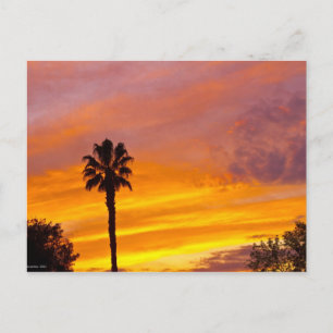 Carte Postale Coucher de soleil de Palm Springs