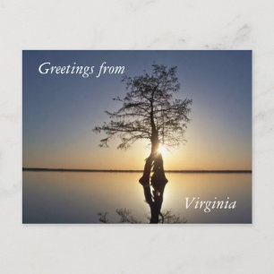 Carte Postale Coucher de soleil derrière un arbre