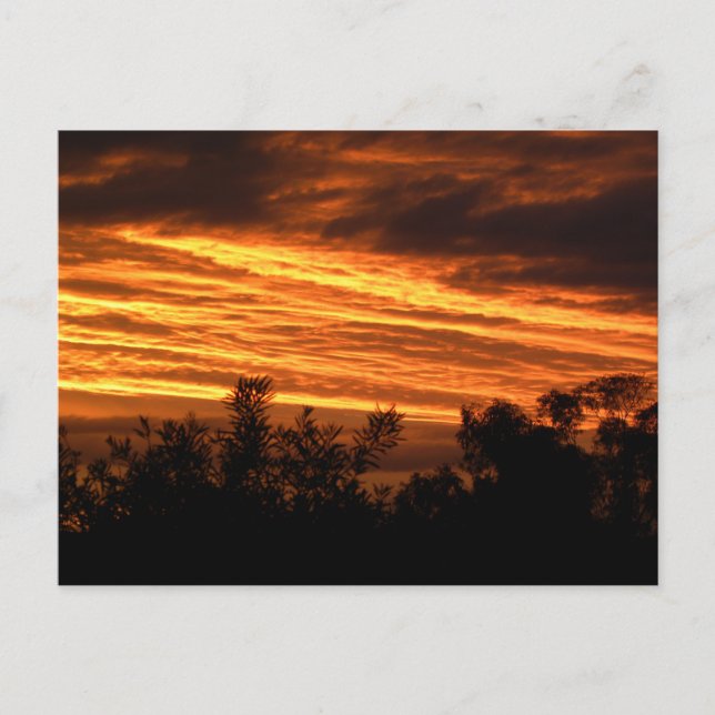 Carte Postale Coucher de soleil d'été à Canberra (Devant)