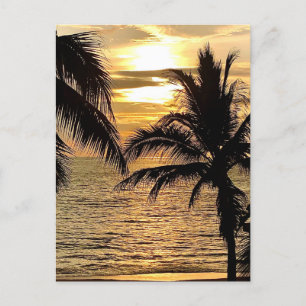 Carte Postale Coucher de soleil d'été de Puerto Vallarta