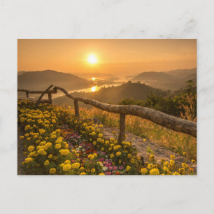 Carte Postale Coucher de soleil doré sur les collines en fleurs 