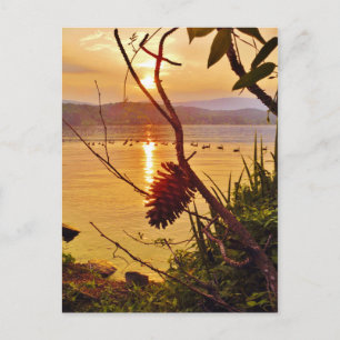 Carte Postale Coucher de soleil du lac Pinecone