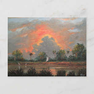 Carte Postale Coucher de soleil en Floride pendant votre voyage 