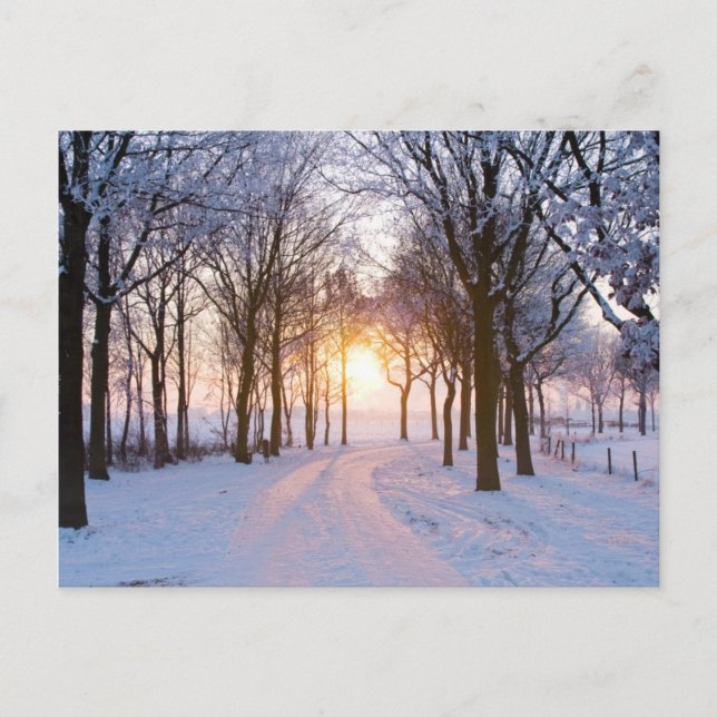 Carte Postale Coucher de soleil en hiver (Devant)