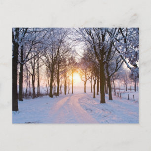 Carte Postale Coucher de soleil en hiver