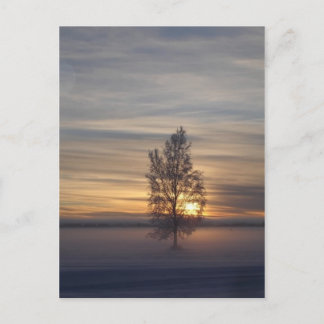 Carte Postale Coucher de soleil en hiver à Ft. Wainwright