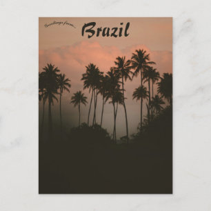 Carte Postale Coucher de soleil et palmiers au Brésil