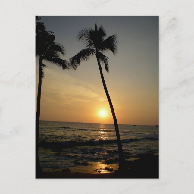 Carte Postale Coucher de soleil hawaïen d'or (Devant)