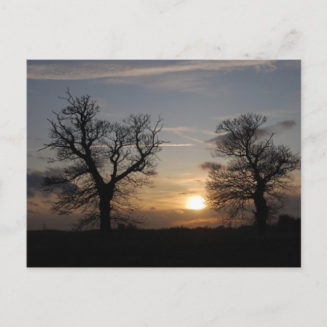 Carte Postale Coucher de soleil Lincolnshire (Devant)