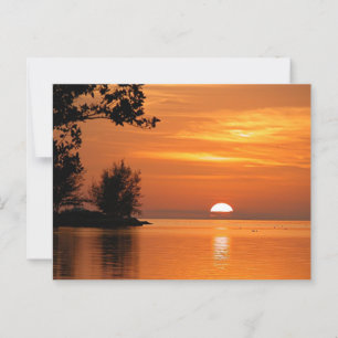 Carte Postale Coucher de soleil majestueux à Florida Keys