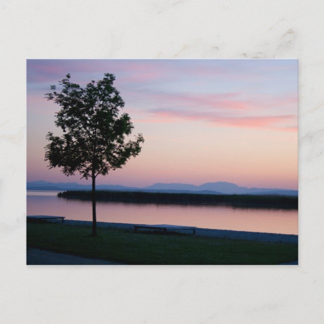 Carte Postale Coucher de soleil rose (Devant)